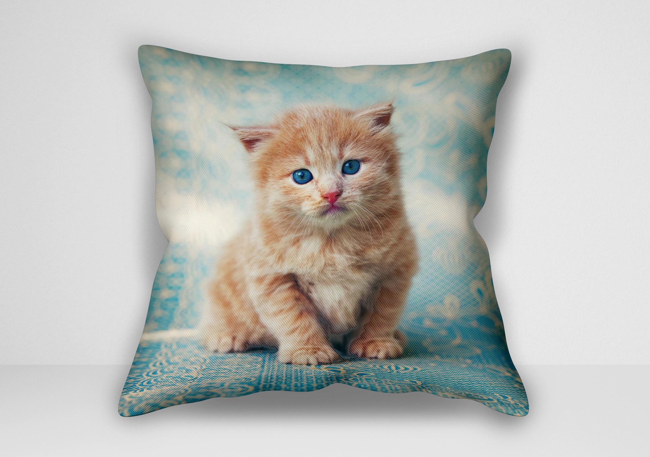 "کوسن بچه گربه _ اثر کریس پاشکه